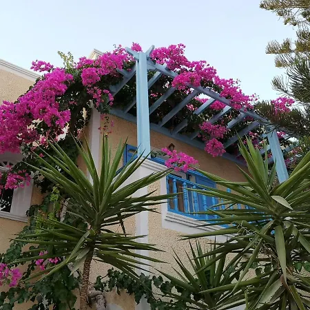 Zeus Kamari (Santorini)
